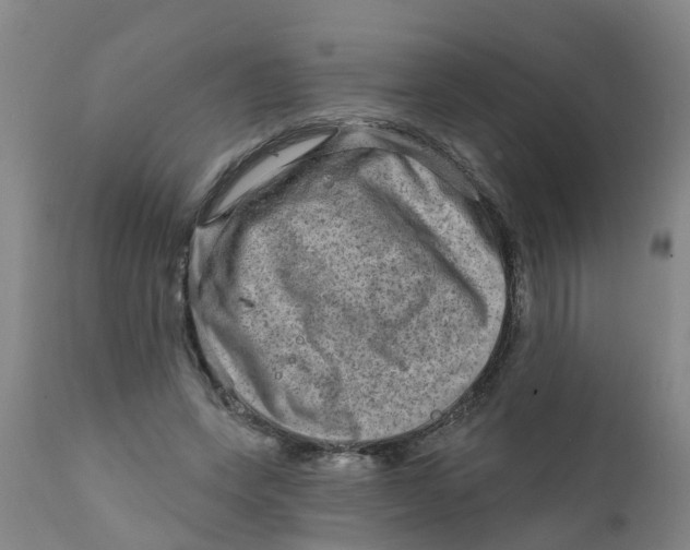 X0000111790543200908131414