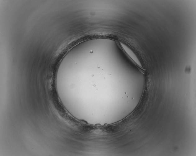 X0000111790544200908131414