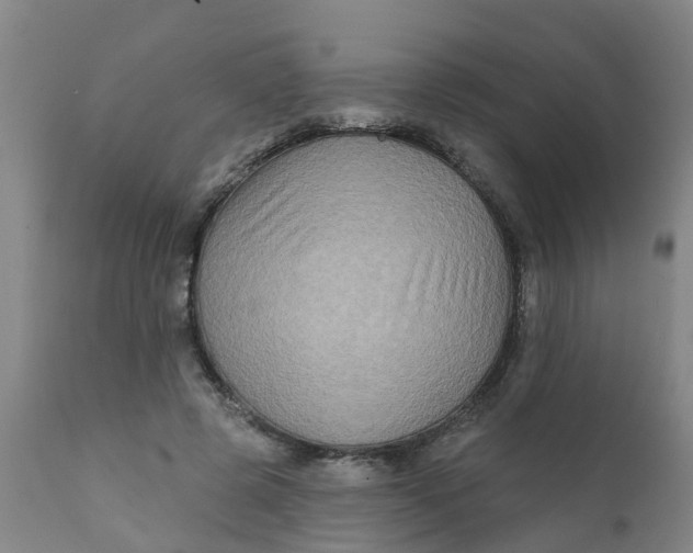 X0000111790545200908131414