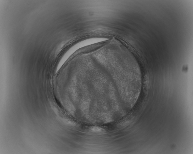 X0000111790547200908131414