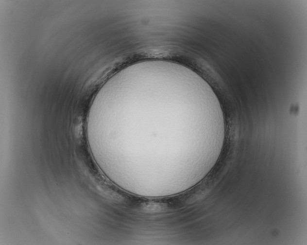 X0000111790549200908131415