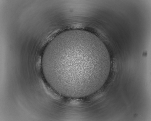 X0000111790550200908131415