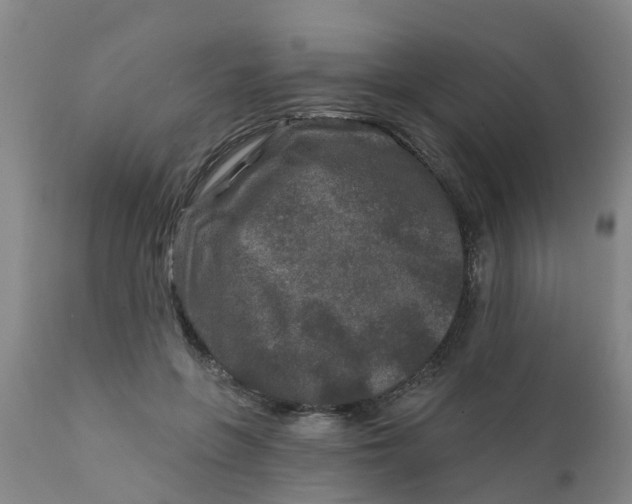 X0000111790551200908131415