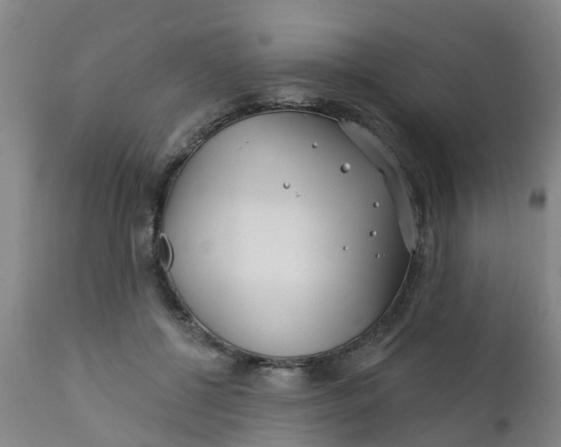 X0000111790552200908131415