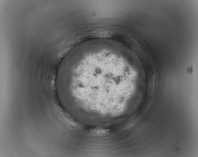 X0000111790553200908131415