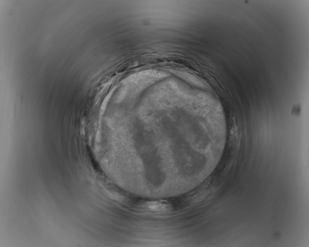 X0000111790555200908131415