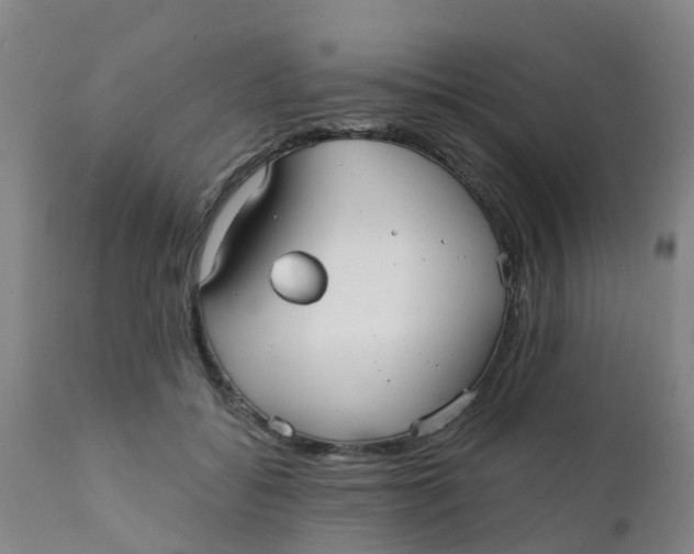 X0000111790556200908131415