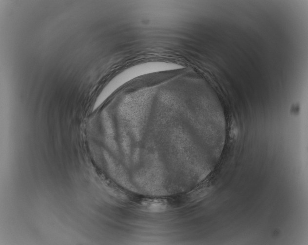 X0000111790559200908131415