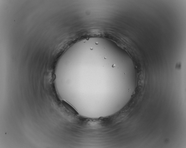 X0000111790560200908131415