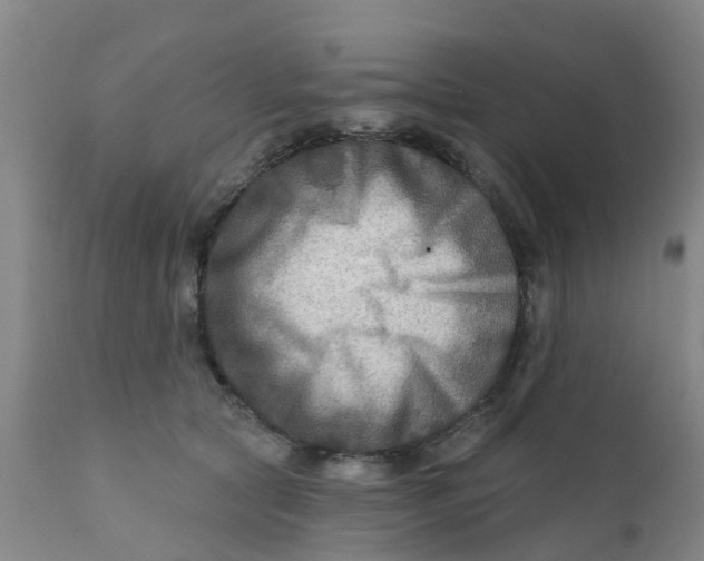 X0000111790561200908131415