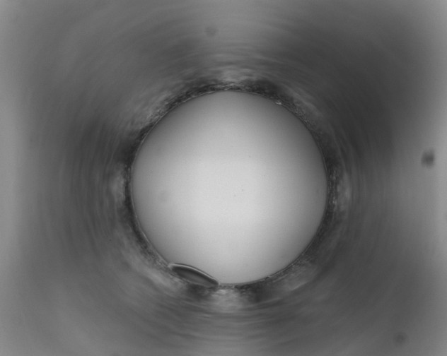 X0000111790562200908131415