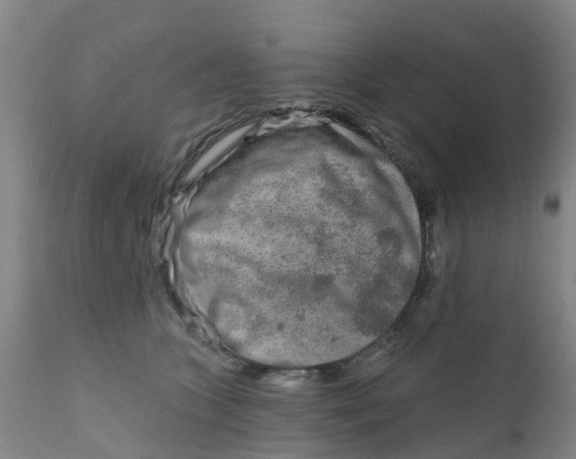 X0000111790563200908131415