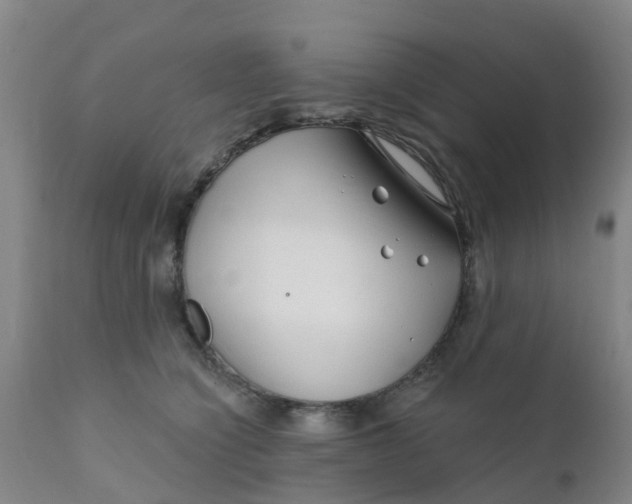 X0000111790564200908131415