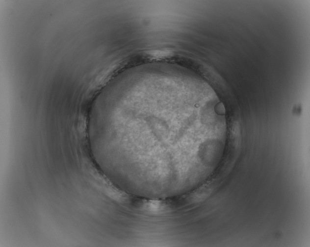 X0000111790565200908131415