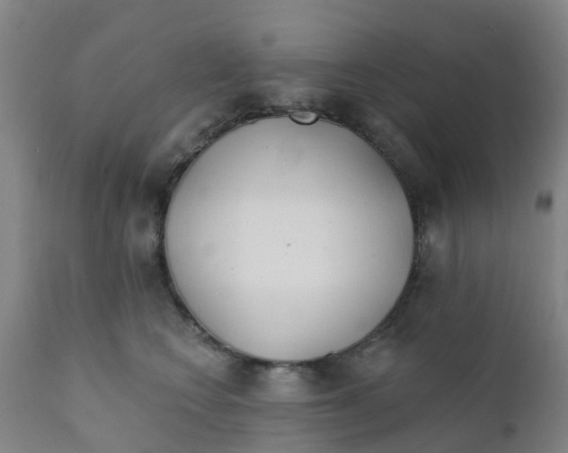 X0000111790566200908131415