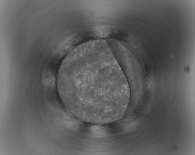 X0000111790568200908131415