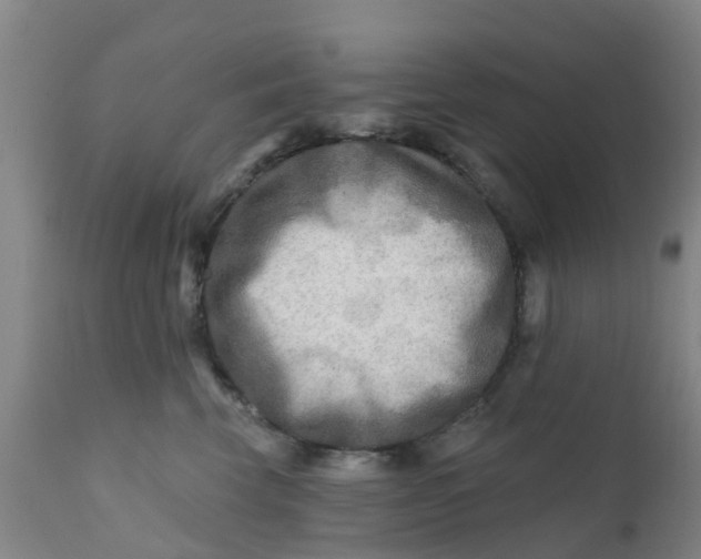 X0000111790569200908131415