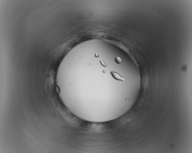 X0000111790570200908131415