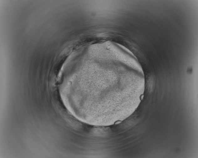 X0000111790571200908131415