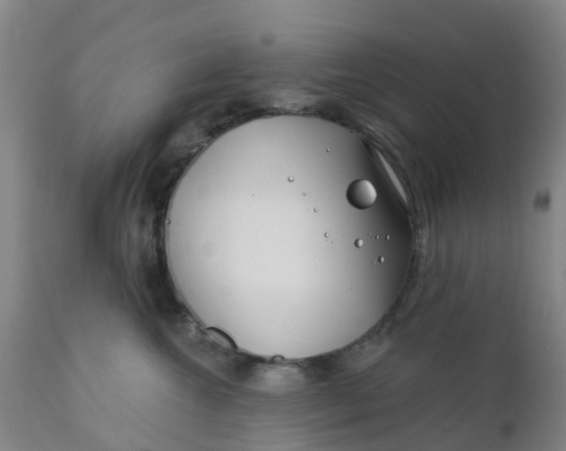 X0000111790572200908131415