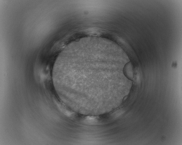 X0000111790573200908131415