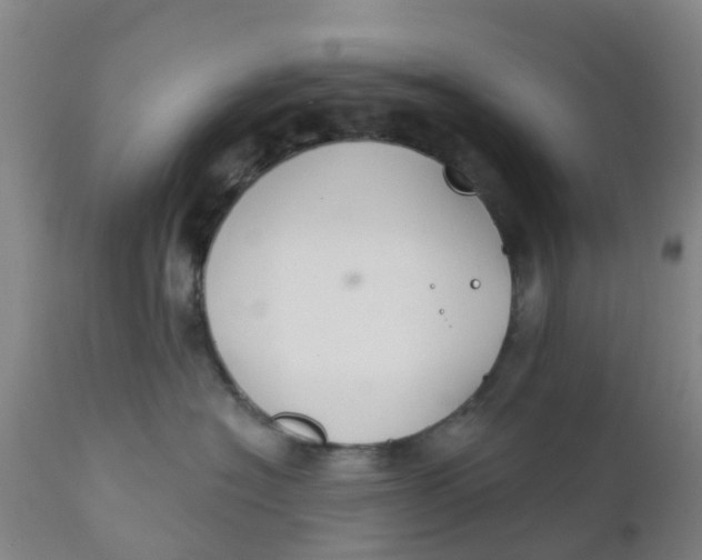 X0000111790574200908131415