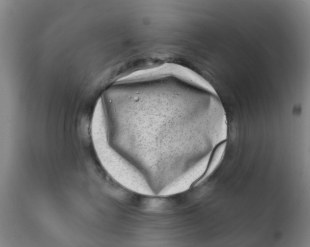 X0000111790575200908131415