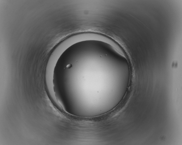 X0000111790577200908131414