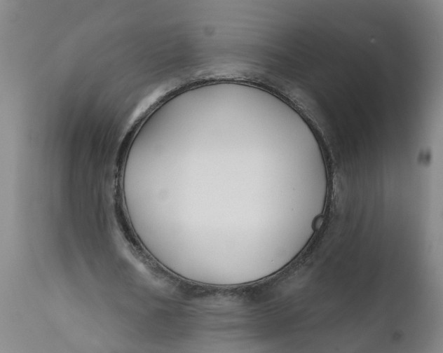 X0000111790578200908131414