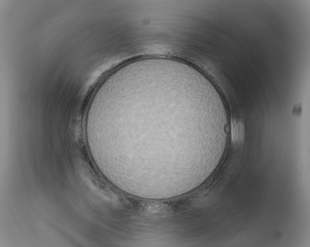 X0000111790579200908131414