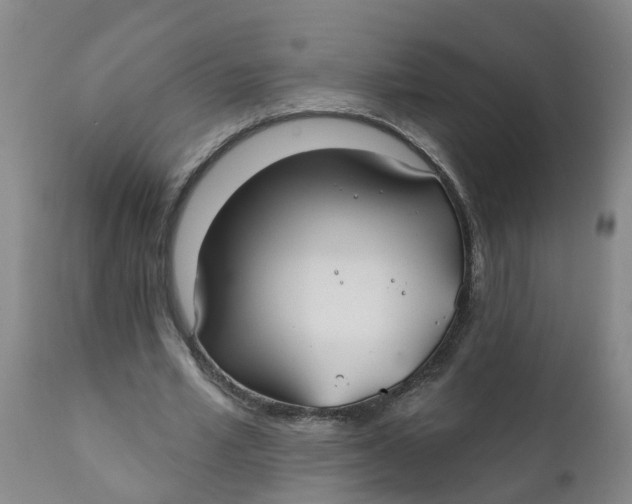 X0000111790581200908131414