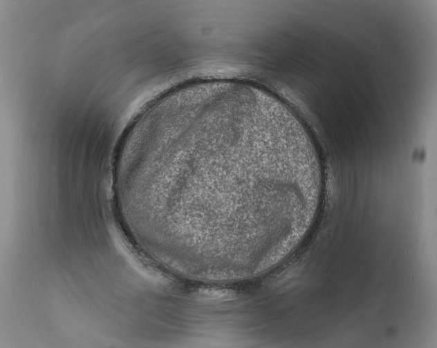 X0000111790582200908131414