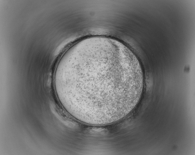 X0000111790583200908131414