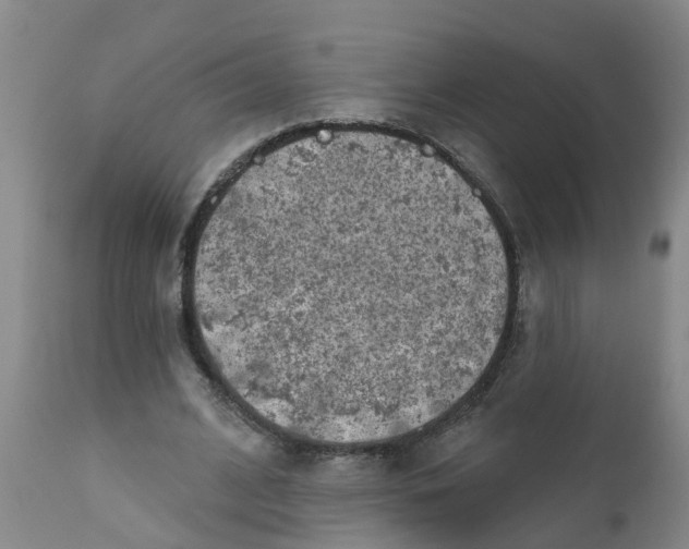 X0000111790584200908131414