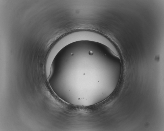 X0000111790585200908131414