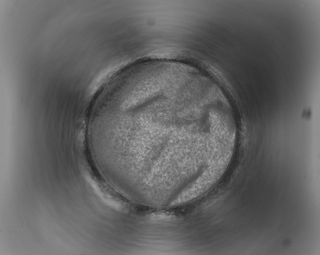 X0000111790586200908131414