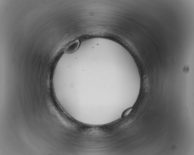 X0000111790589200908131414