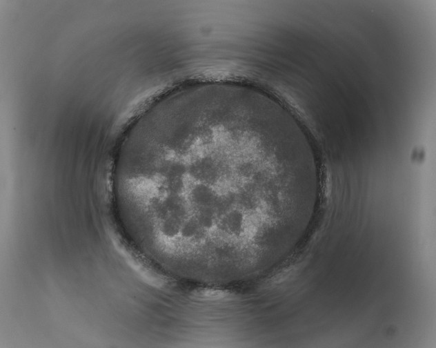 X0000111790590200908131414