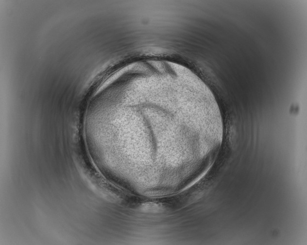 X0000111790591200908131414