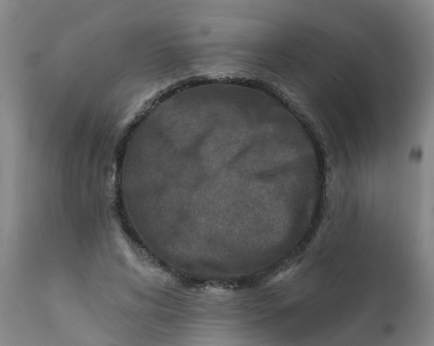 X0000111790592200908131414