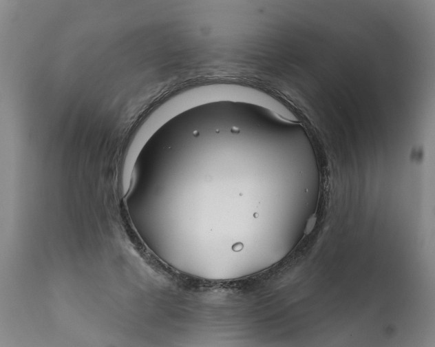 X0000111790593200908131414