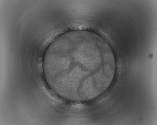 X0000111790594200908131414