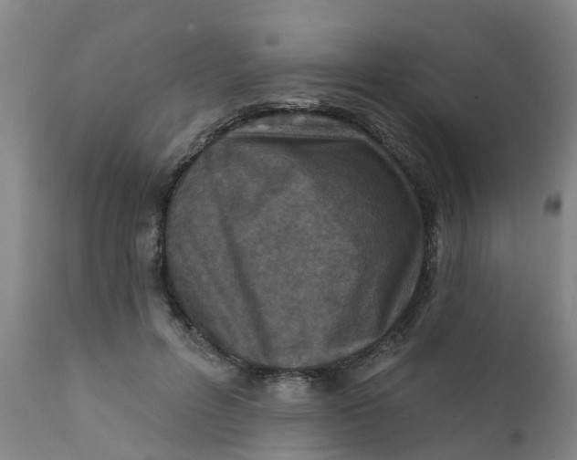 X0000111790600200908131414