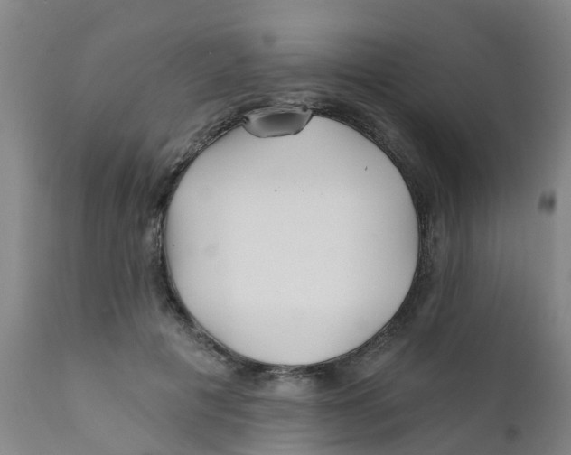 X0000111790601200908131414