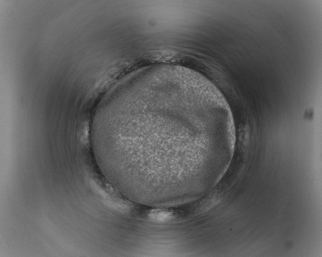 X0000111790602200908131414