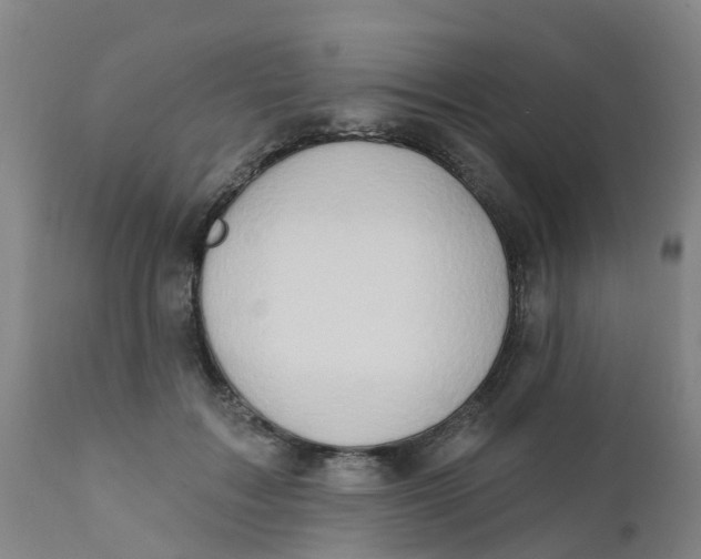 X0000111790603200908131414