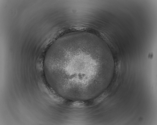 X0000111790606200908131414