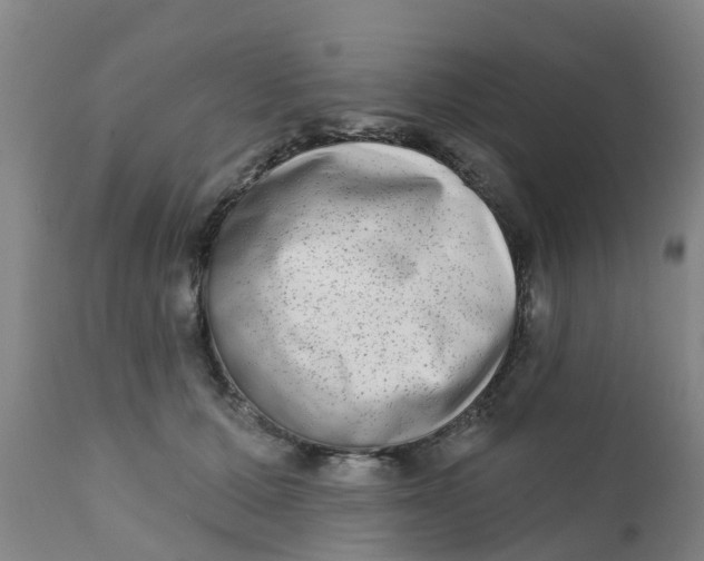 X0000111790607200908131414