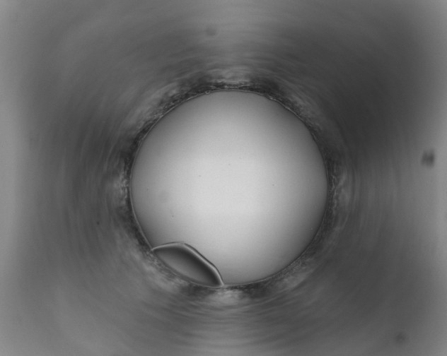 X0000111790609200908131414