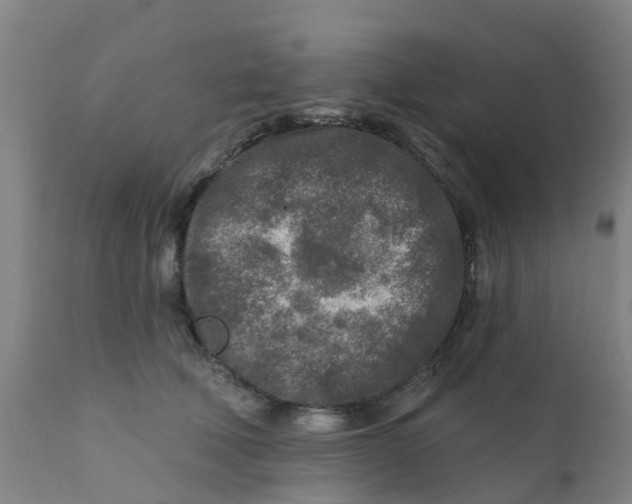 X0000111790610200908131414